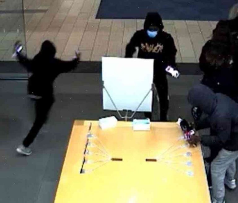 Selfie-ready? Infamous Apple Store sees him smash-and-grab rampage