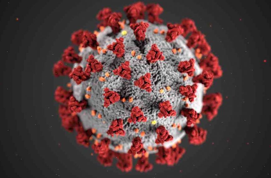 The H1N1 flu found among healthy individuals may have been even more contagious than the 1918 flu