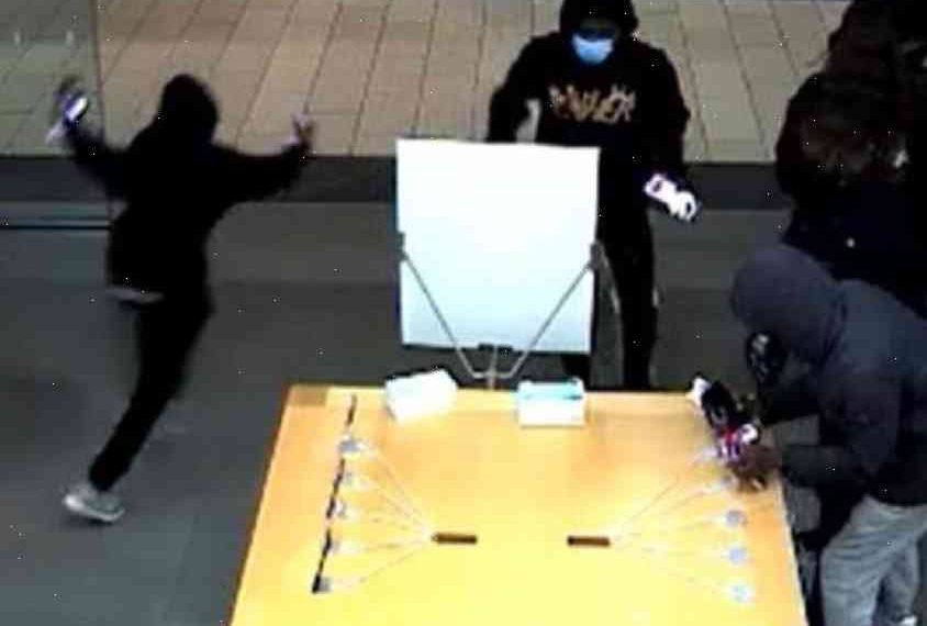 Selfie-ready? Infamous Apple Store sees him smash-and-grab rampage